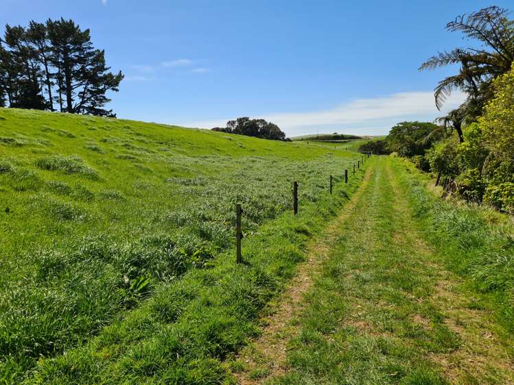 629 South Road Omata_9