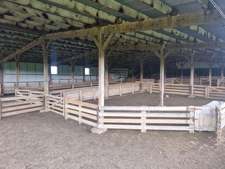 1628 Tuapeka West Road and 275 Bush Road Tuapeka West_16