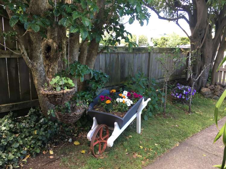 18 Rocklands Avenue Mount Eden_12