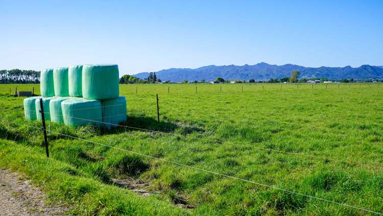 1944 State Highway 25 Orongo_8