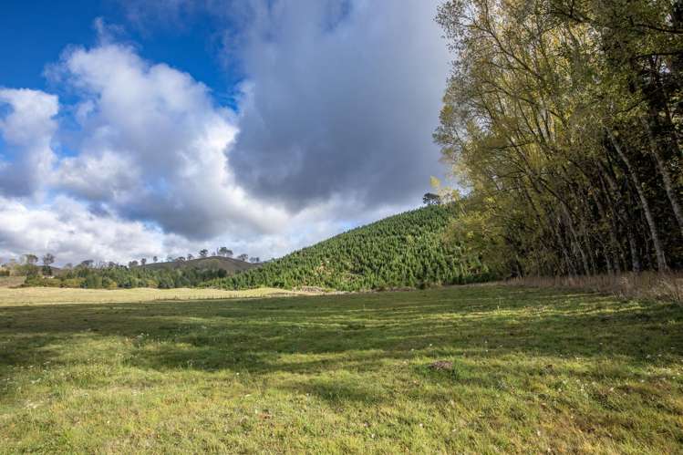 201 State Highway 5 Wairakei_11