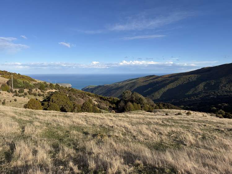 490 Long Bay Road Akaroa_13