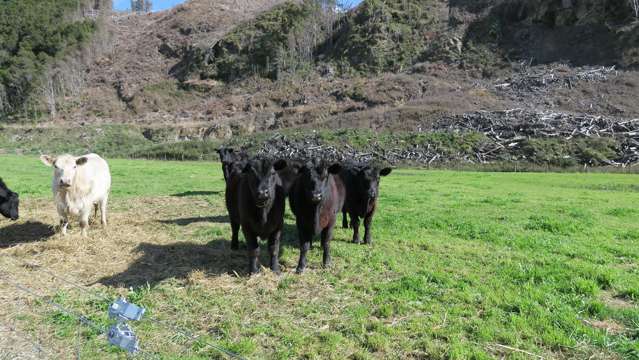 3957 Northbank Road Wairau Valley_2