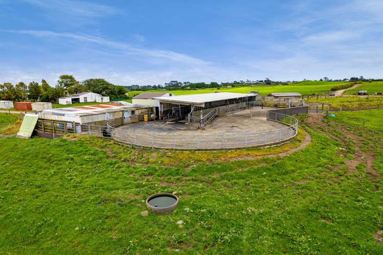 358 Opunake Road Cardiff_15