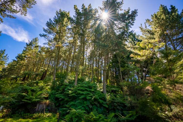 629a Hakarimata Road Ngaruawahia_33