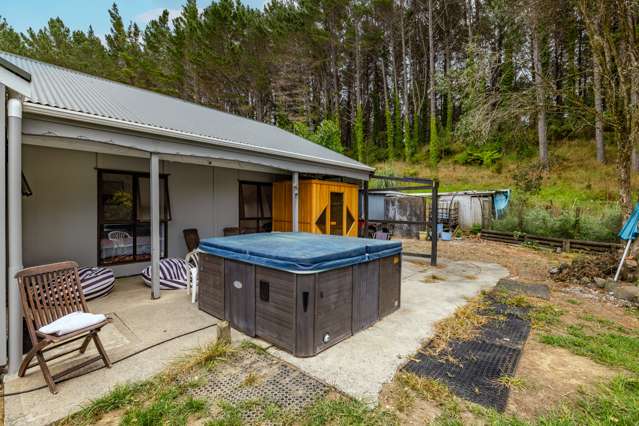 110 Whangape Track Road Broadwood_1