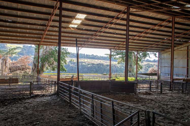 125 Sawmill Road Taieri Beach_19