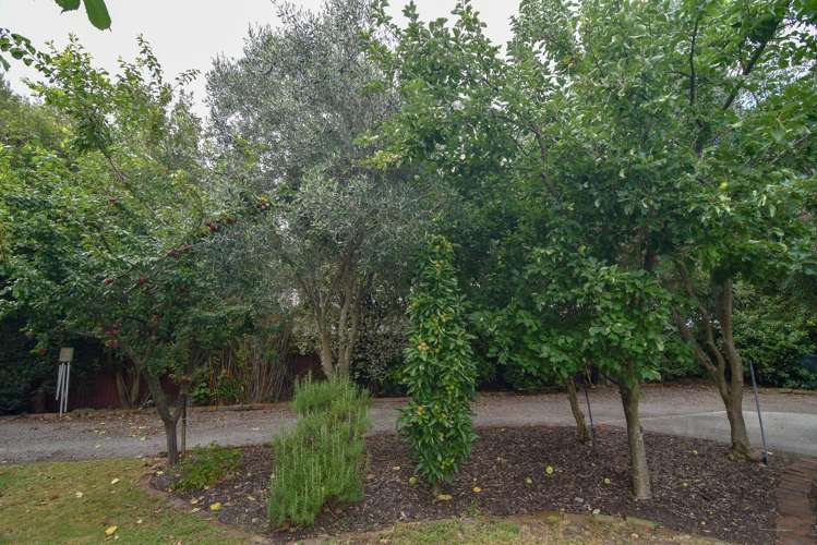 147 Pembroke Street Carterton_16