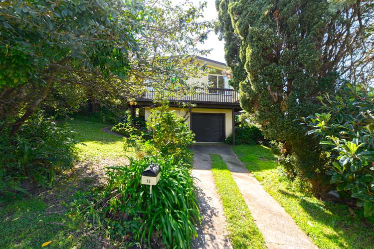 12 Lavery Place Sunnynook_2