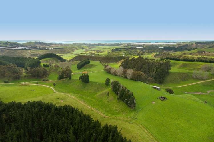 461 Otamarakau Valley Road Pukehina_11