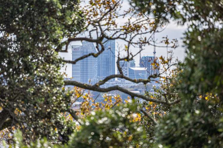 3/37 Victoria Avenue Remuera_14