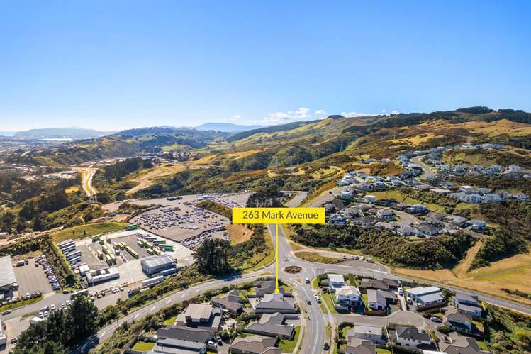 263 Mark Avenue Grenada Village_15