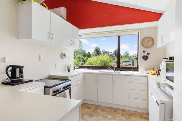 94 Geraghtys Road Tuakau_2