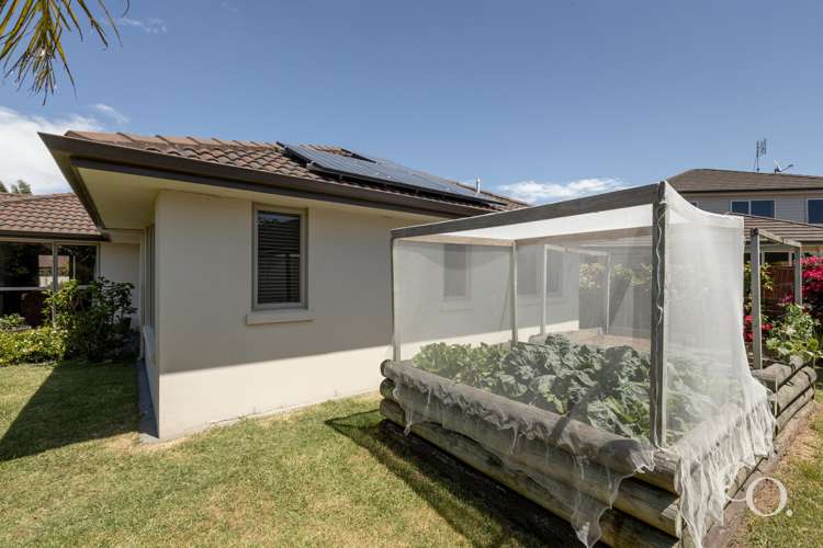 2 Koro Mews Papamoa_24