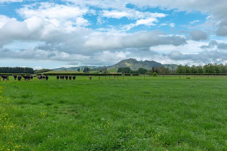 269 Bellevue Road Matangi_16