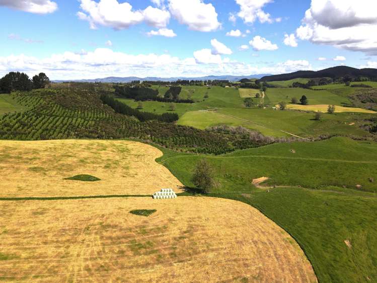 1/1745 Arapuni Road Parawera_13