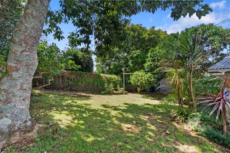 28 Boyd Avenue Royal Oak_13