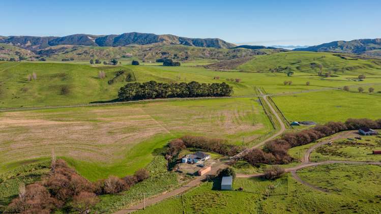 40 Jones Road Porangahau_14