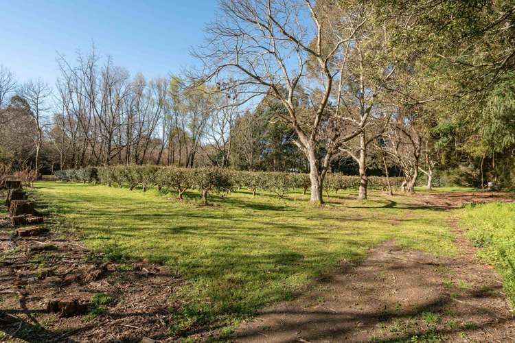 250 Upper Manaia Road Upper Plain_15