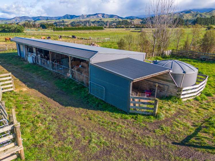 76 Jordan Road Carterton_16