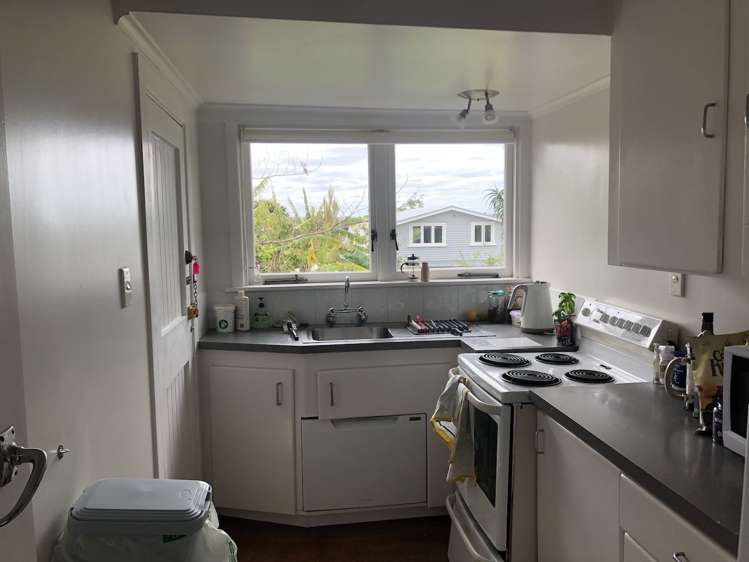 6 Baildon Road Grey Lynn_8