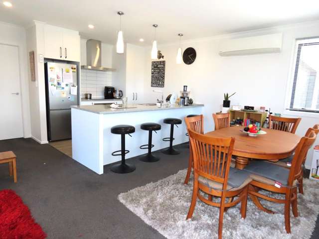 102 Hinemoa Street Levin_1