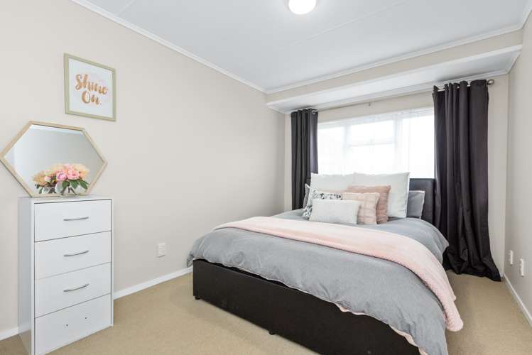 30 Norfolk Street Tamatea_8