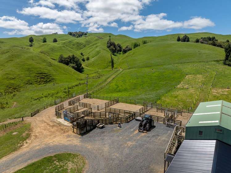 1/400 Brunskill Road Cambridge_13