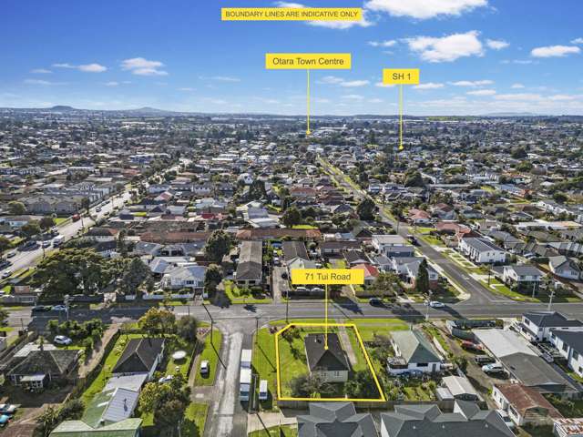 71 Tui Road Papatoetoe_1