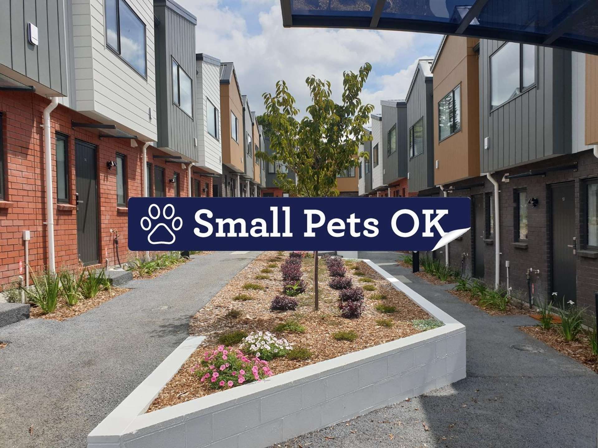 25 Toanga Place 1816_0