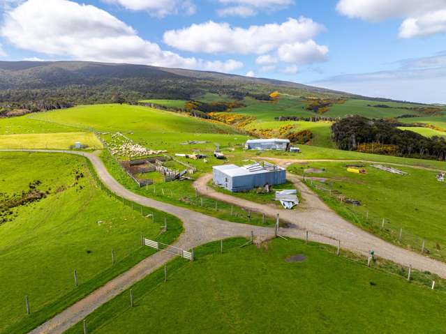 Well-Developed Southland Grazing Opportunity