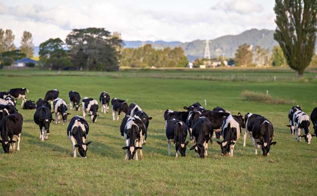 3/617 Otakiri Road Otakiri_2