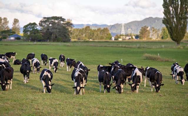 3/617 Otakiri Road Otakiri_2