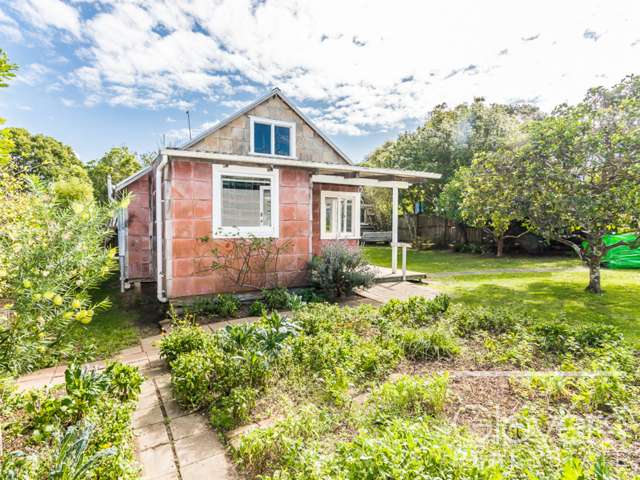 15a Powell Street Avondale_3