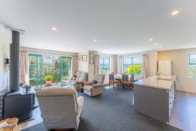 20 Khan Street Pleasant Point_4