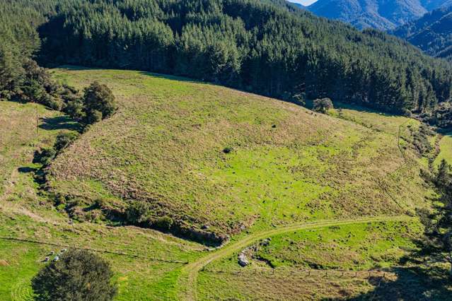 1642 Motueka River West Bank Road Motueka Valley_4