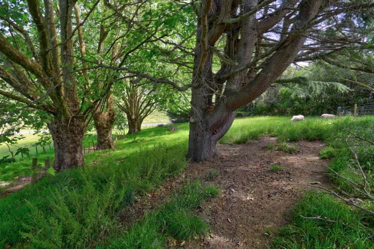 215a No 3 Line Wanganui East_8