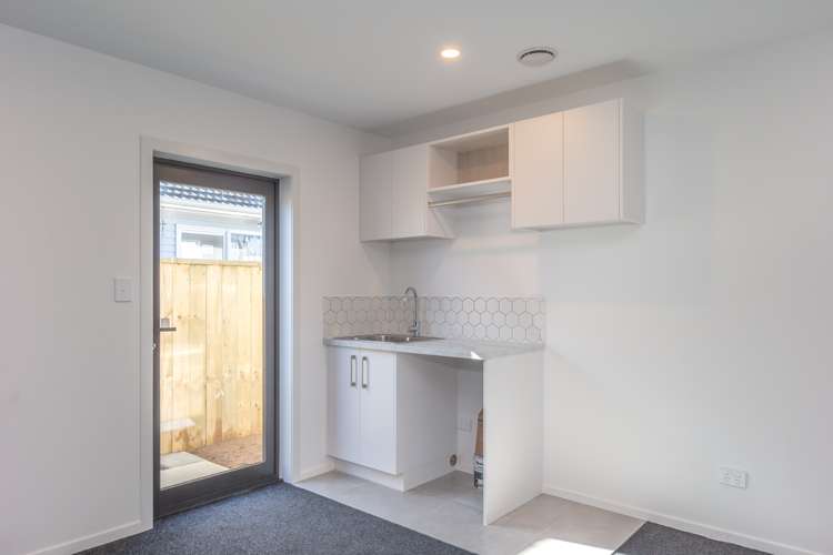 30a Middlesex Street Levin_12