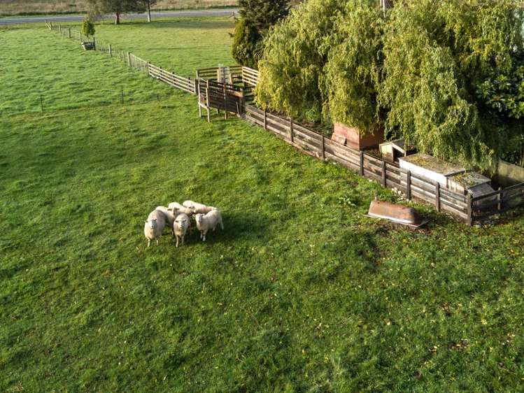 973 Temuka - Orari Highway Orari_7