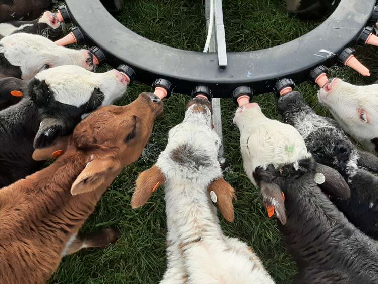 134 Longbeach Road Willowby_21