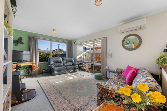 3A Weld Street Blenheim_1
