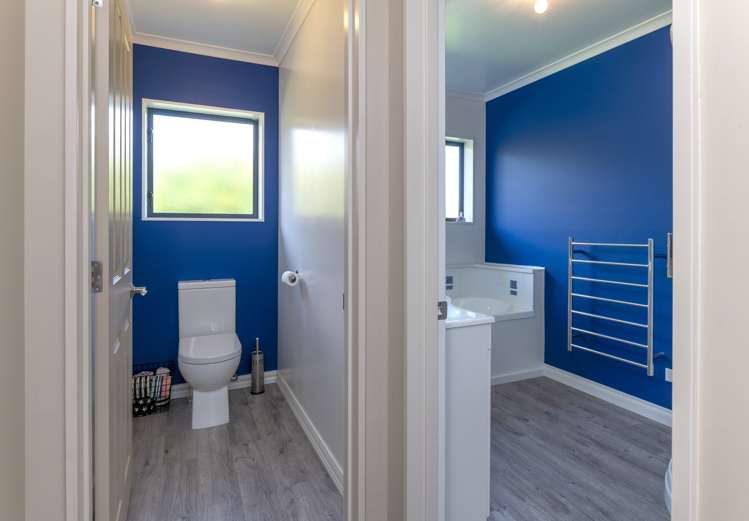 2 Claremont Rise Levin_18