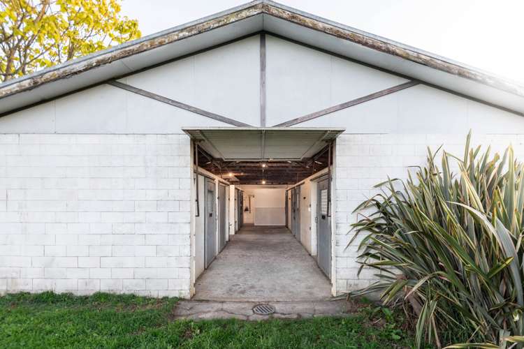 91 Forrest Road Cambridge_19