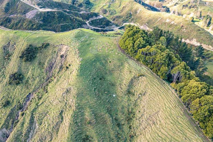 461 Longacre Road Okoia_12