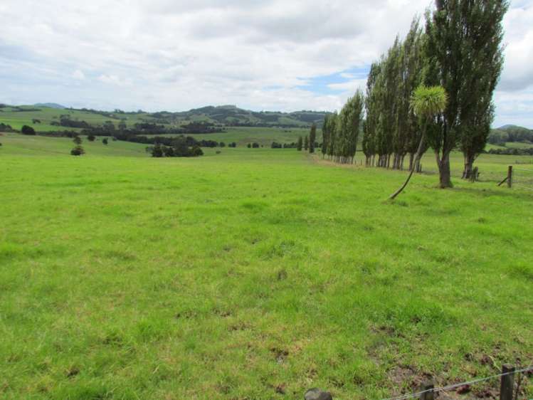 300 Gumtown Road Kamo_14