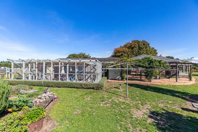 12 Jeffs Road Mangatawhiri_3