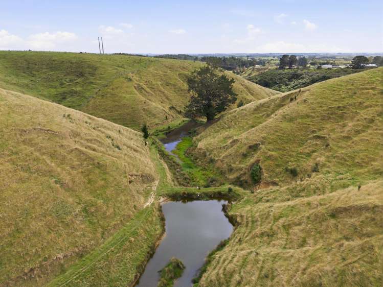 100 Heights Road Shannon_20