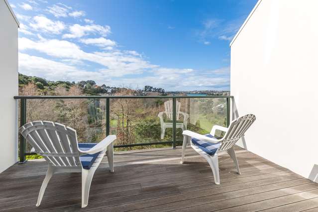 3m Laxon Terrace Remuera_1