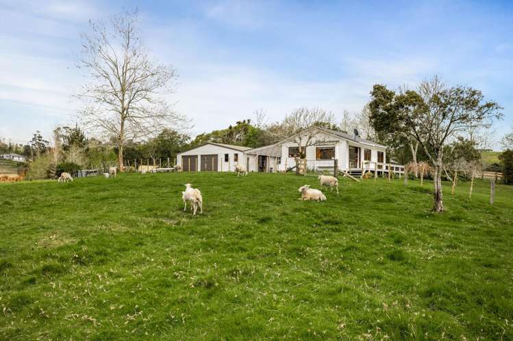 56 Aubrey Road Silverdale_3