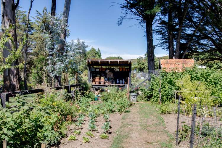 4934 Puketitiri Road Puketitiri_25